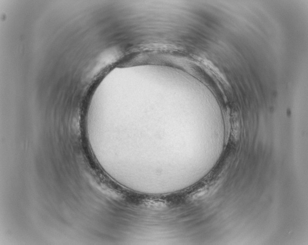 X0000088180207200706051150