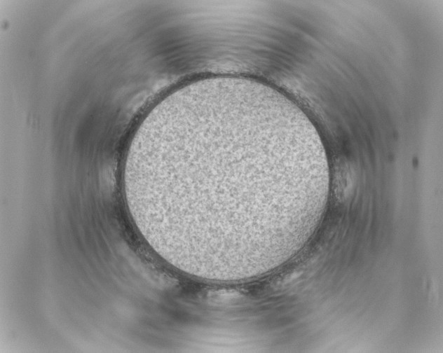 X0000088180208200706051150