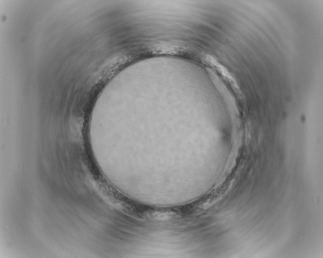 X0000088180209200706051150