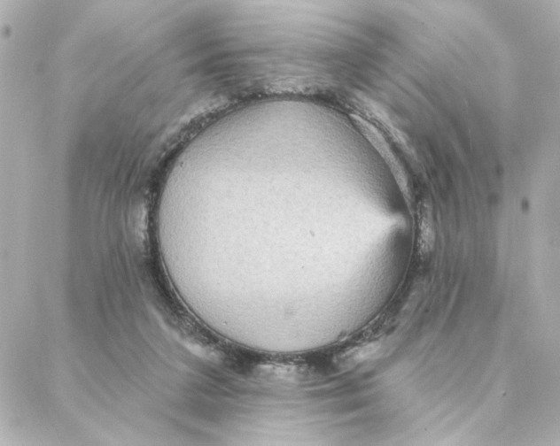 X0000088180211200706051150