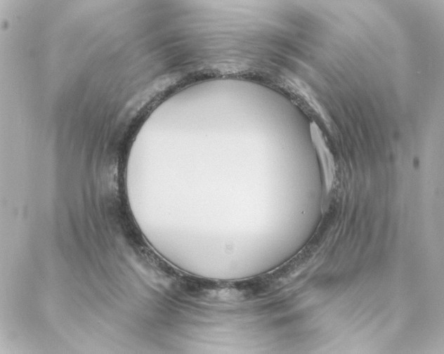 X0000088180212200706051150