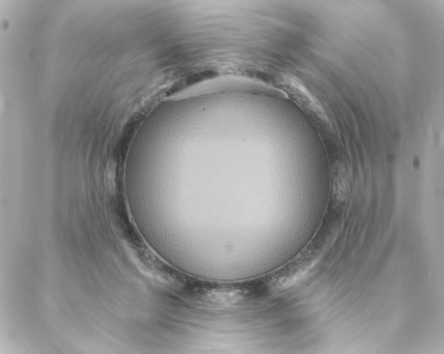 X0000088180213200706051150