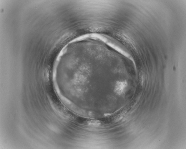 X0000088180214200706051150