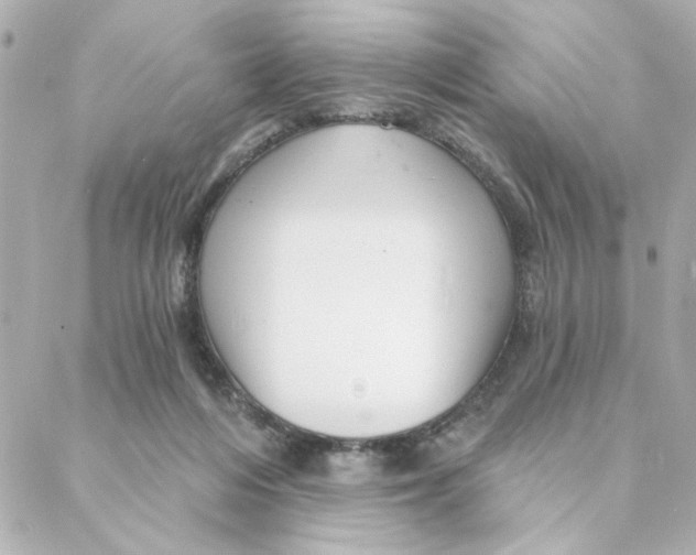 X0000088180216200706051150