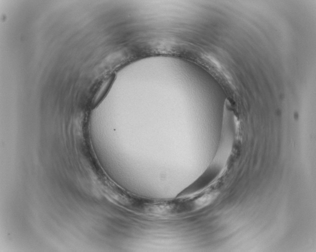 X0000088180217200706051150