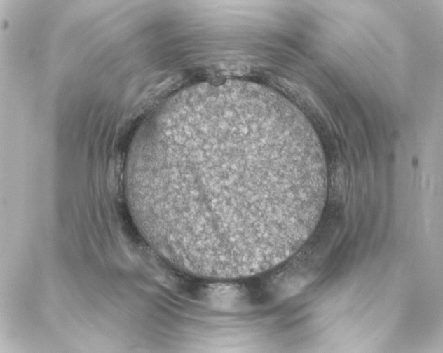 X0000088180218200706051150