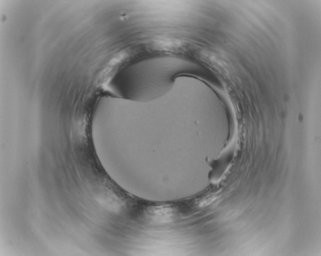 X0000088180219200706051150