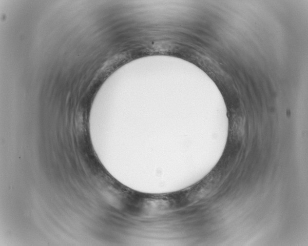 X0000088180220200706051150