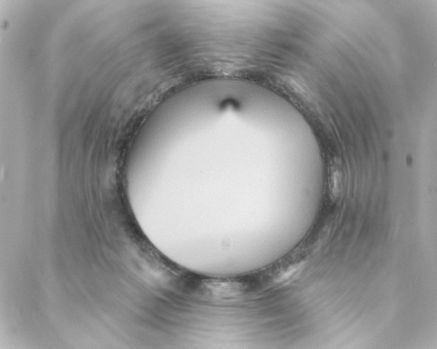 X0000088180221200706051150