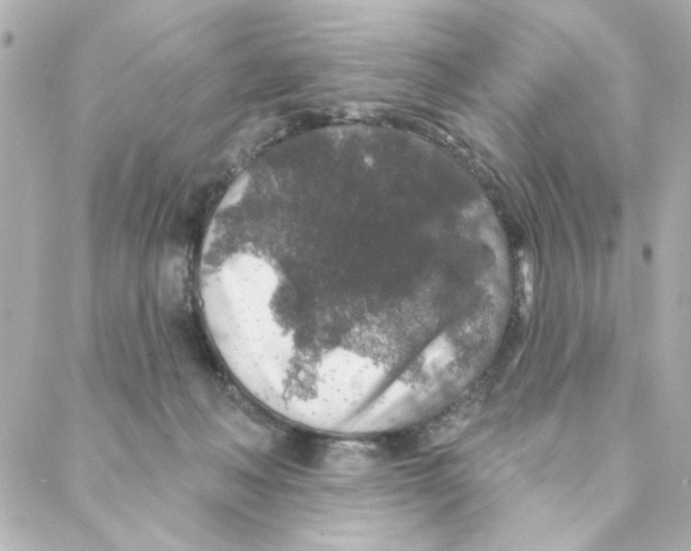 X0000088180222200706051150