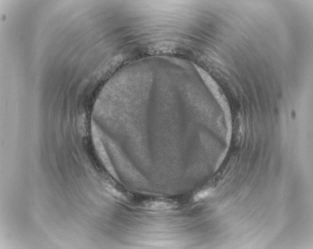 X0000088180224200706051150