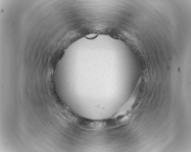 X0000088180225200706051150