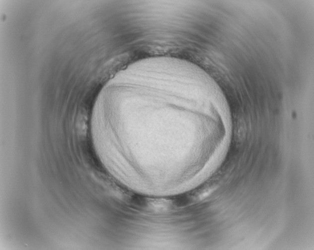 X0000088180226200706051150