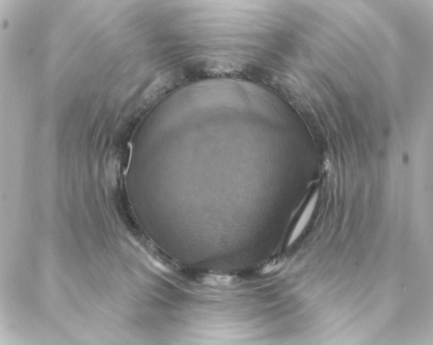 X0000088180227200706051149