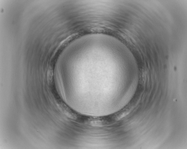 X0000088180228200706051149