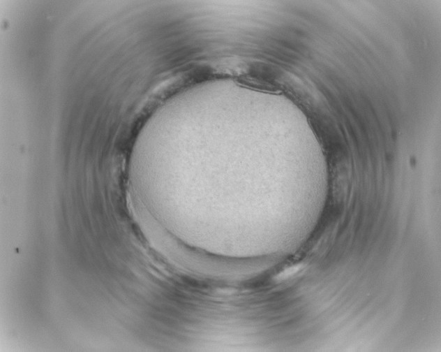 X0000088180229200706051149