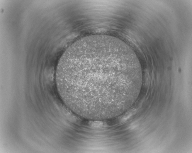 X0000088180230200706051149