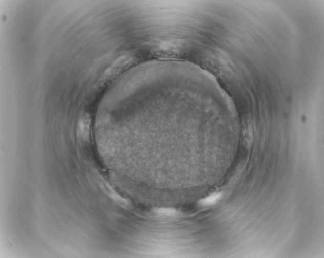 X0000088180231200706051149