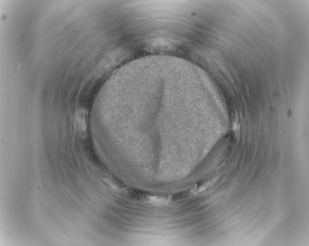 X0000088180232200706051149