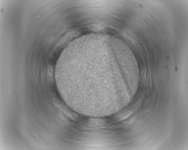 X0000088180234200706051149