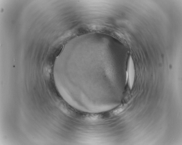 X0000088180235200706051149