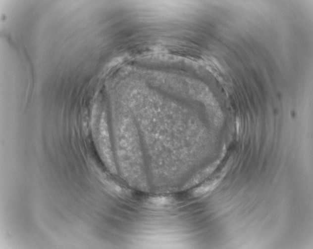 X0000088180237200706051149