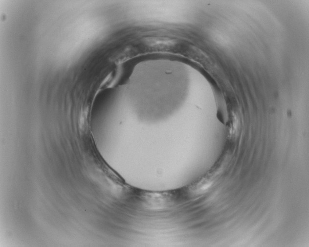 X0000088180239200706051149