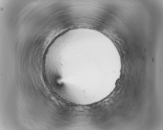 X0000088180241200706051148