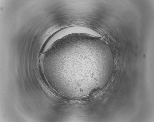 X0000088180242200706051149