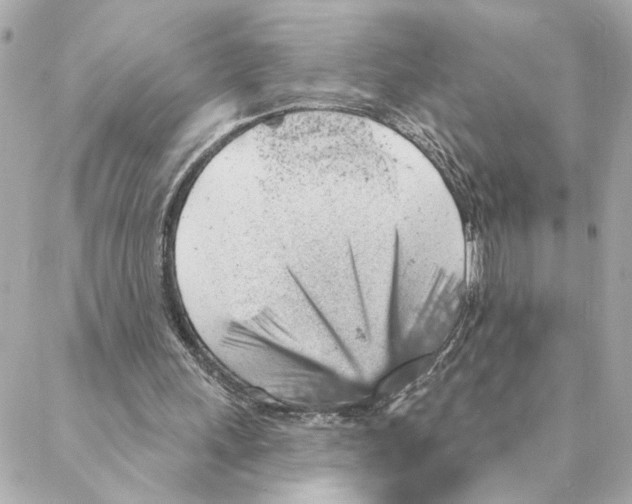 X0000088180243200706051149