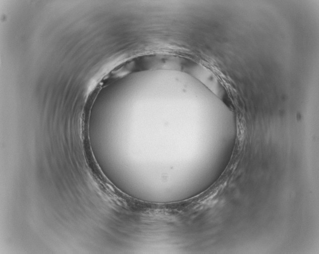 X0000088180244200706051149