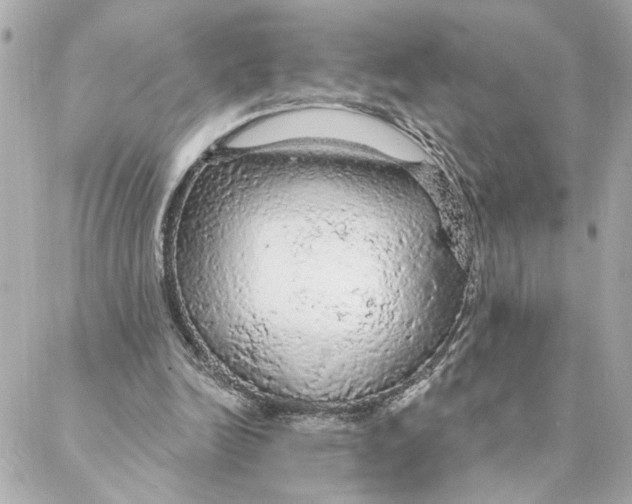 X0000088180246200706051149