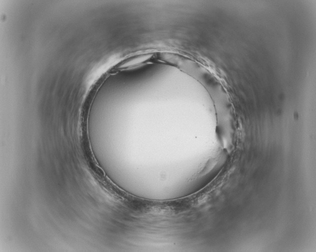 X0000088180248200706051149