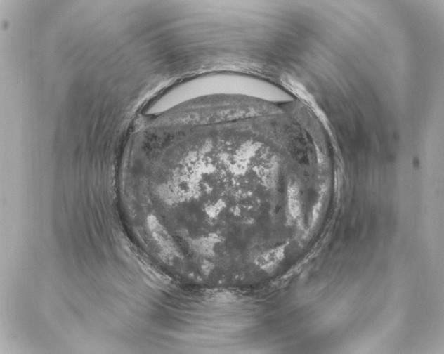 X0000088180249200706051149