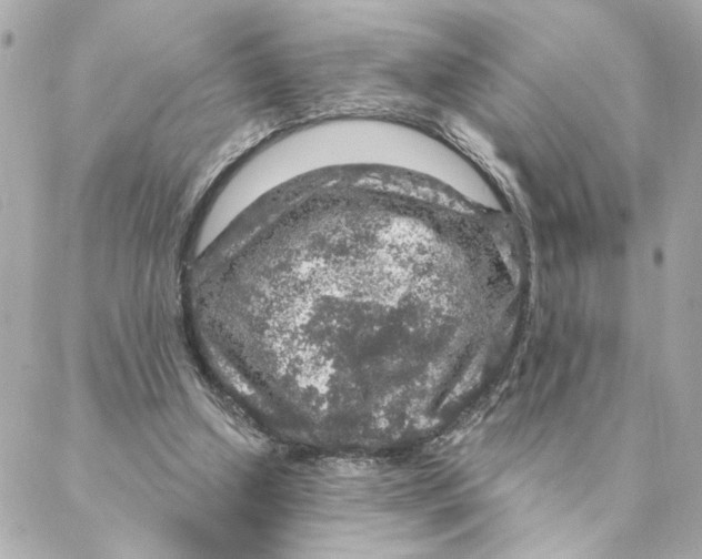 X0000088180250200706051149