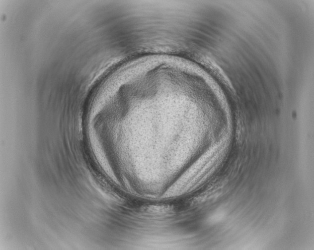 X0000088180251200706051149