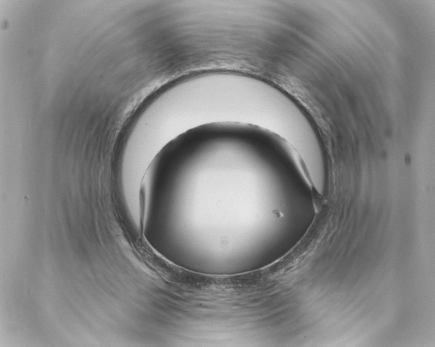 X0000088180252200706051149