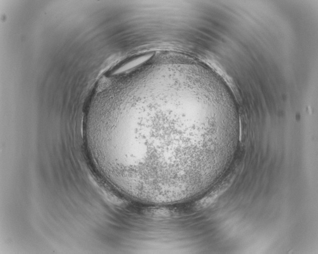 X0000088180253200706051149