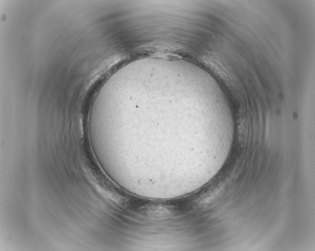 X0000088180254200706051149