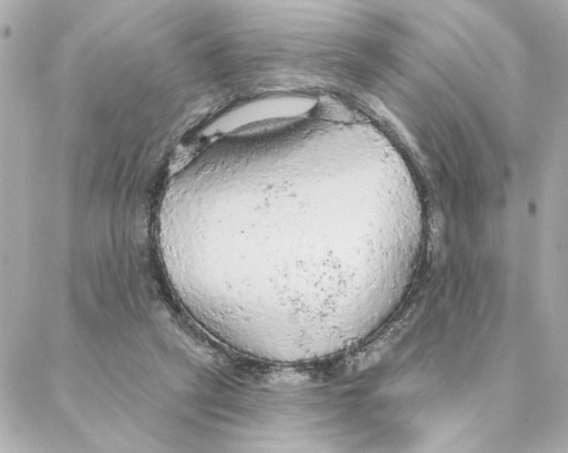 X0000088180257200706051149