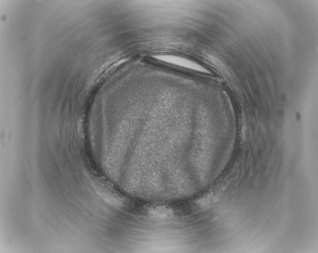 X0000088180258200706051149