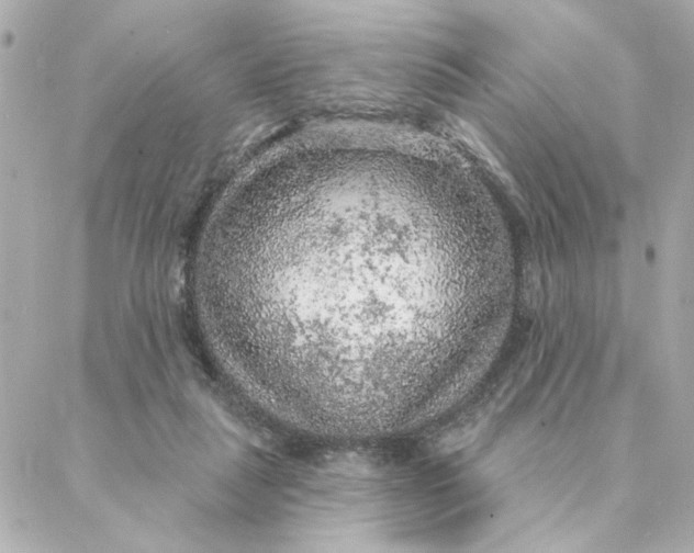 X0000088180259200706051149