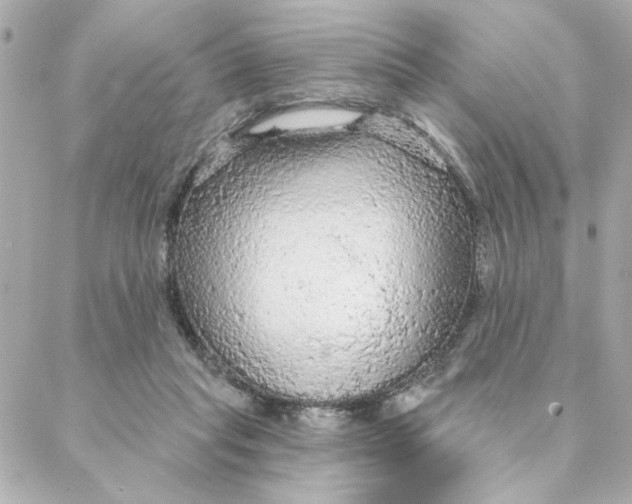 X0000088180261200706051149