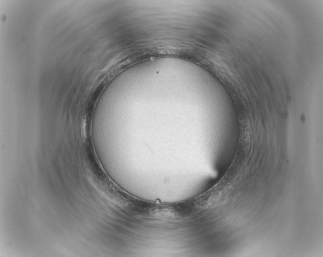 X0000088180262200706051149