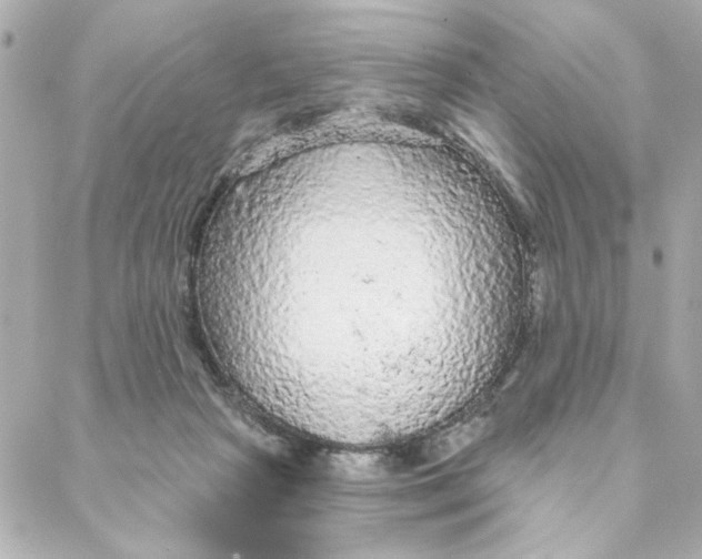 X0000088180265200706051149