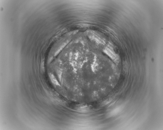 X0000088180267200706051149