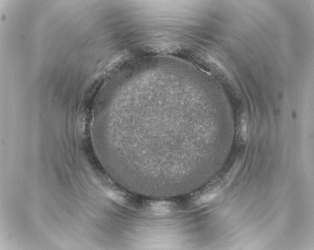 X0000088180268200706051149