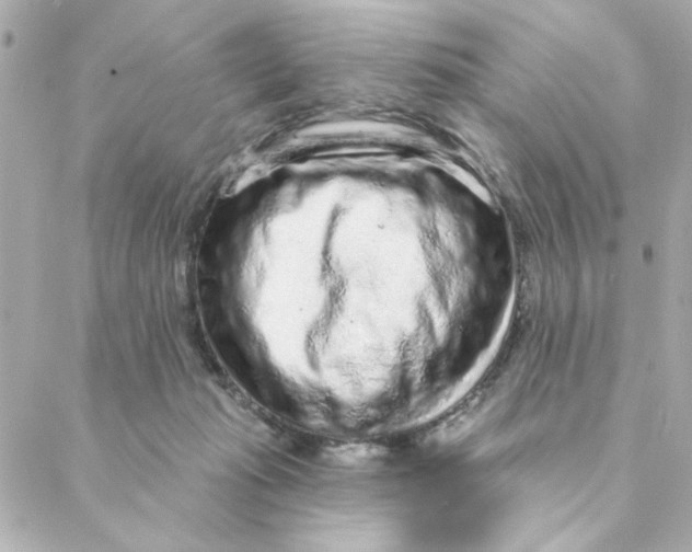 X0000088180269200706051149