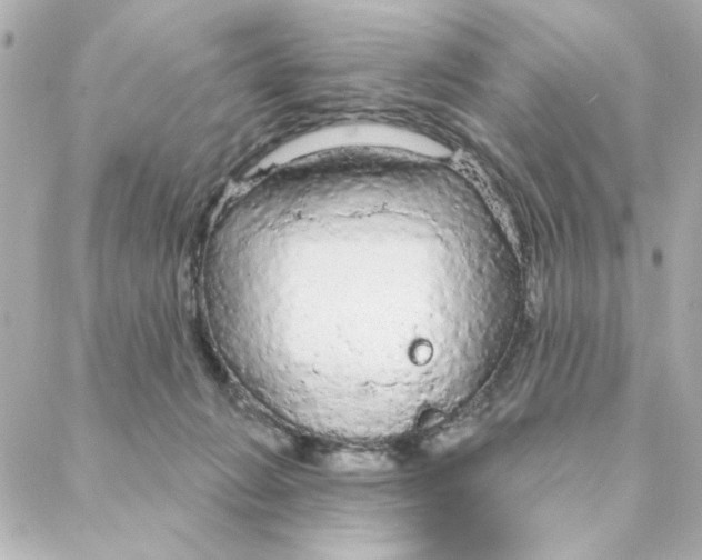 X0000088180270200706051149