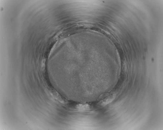 X0000088180271200706051149